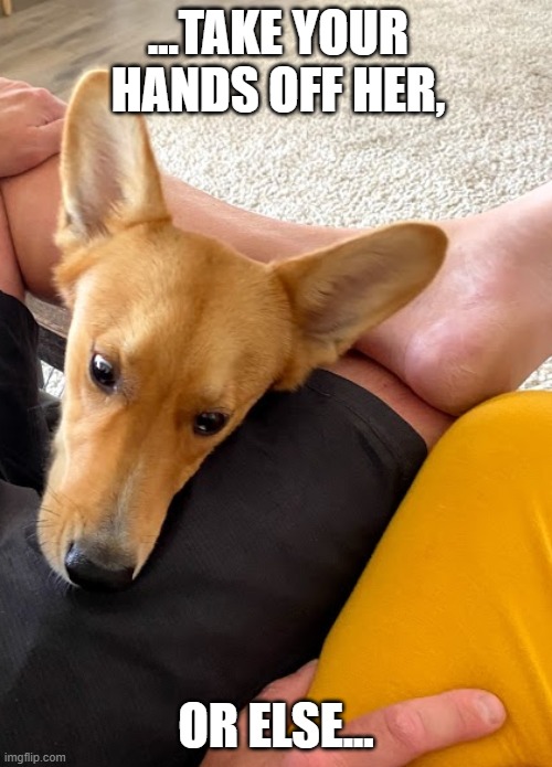 B'dog | ...TAKE YOUR HANDS OFF HER, OR ELSE... | image tagged in funny | made w/ Imgflip meme maker