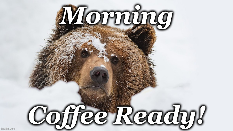 bear | Morning; Coffee Ready! | image tagged in bear | made w/ Imgflip meme maker