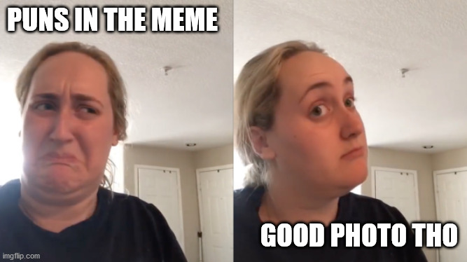 Good Bad | PUNS IN THE MEME GOOD PHOTO THO | image tagged in good bad | made w/ Imgflip meme maker