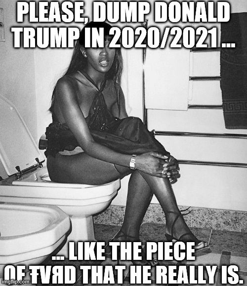 Dump Donald 9 | PLEASE, DUMP DONALD TRUMP IN 2020/2021 ... ... LIKE THE PIECE OF ŦVЯD THAT HE REALLY IS. | image tagged in naomi campbell's throne 3 | made w/ Imgflip meme maker