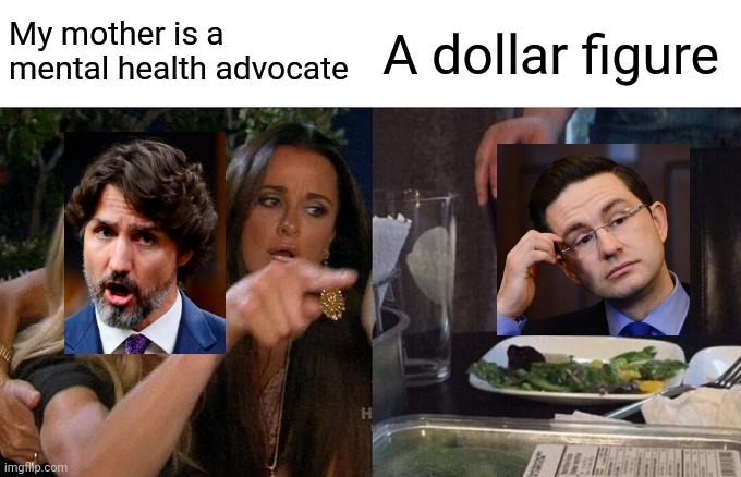 Poilievre up to bat | My mother is a mental health advocate; A dollar figure | image tagged in memes,woman yelling at cat,trudeau | made w/ Imgflip meme maker