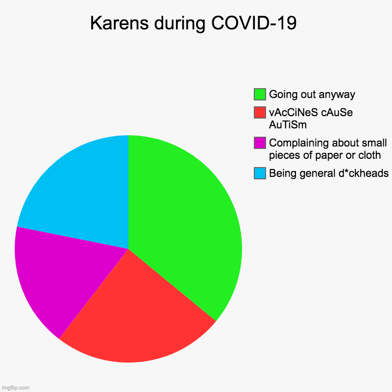 Karens during COVID-19 | Being general d*ckheads, Complaining about small pieces of paper or cloth, vAcCiNeS cAuSe AuTiSm, Going out anyway | image tagged in charts,pie charts | made w/ Imgflip chart maker