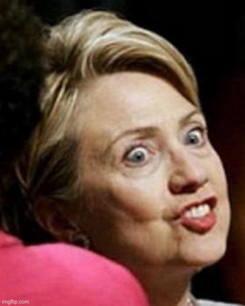 Hillary Clinton Fish | image tagged in hillary clinton fish | made w/ Imgflip meme maker