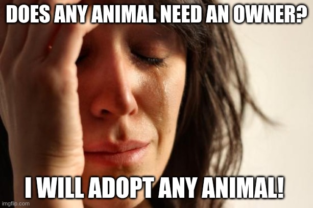 I really want a pet | DOES ANY ANIMAL NEED AN OWNER? I WILL ADOPT ANY ANIMAL! | image tagged in memes,first world problems | made w/ Imgflip meme maker