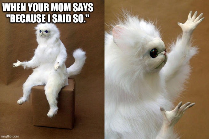 Persian Cat Room Guardian | WHEN YOUR MOM SAYS "BECAUSE I SAID SO." | image tagged in memes,persian cat room guardian | made w/ Imgflip meme maker