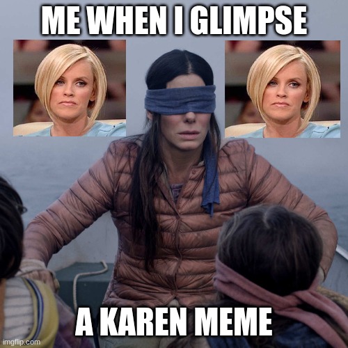 enough with the karens | ME WHEN I GLIMPSE; A KAREN MEME | image tagged in memes,bird box | made w/ Imgflip meme maker