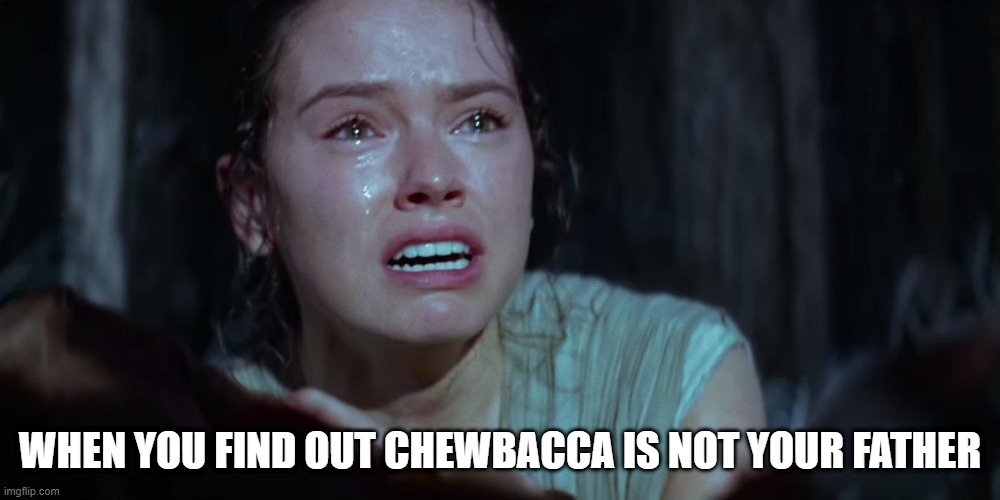 Lack of Hair Shoulda Been a Clue | WHEN YOU FIND OUT CHEWBACCA IS NOT YOUR FATHER | image tagged in star wars rey crying | made w/ Imgflip meme maker