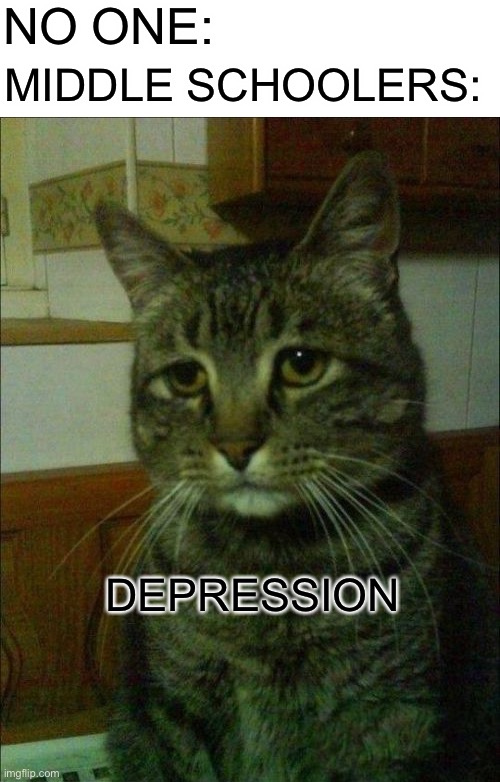 Sad? | NO ONE:; MIDDLE SCHOOLERS:; DEPRESSION | image tagged in memes,depressed cat,blank white template,depression | made w/ Imgflip meme maker