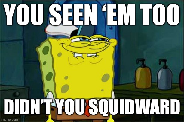 Don't You Squidward Meme | YOU SEEN ‘EM TOO DIDN’T YOU SQUIDWARD | image tagged in memes,don't you squidward | made w/ Imgflip meme maker