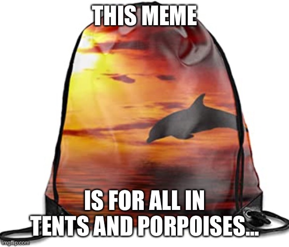 THIS MEME; IS FOR ALL IN TENTS AND PORPOISES... | image tagged in camping,porpoise | made w/ Imgflip meme maker