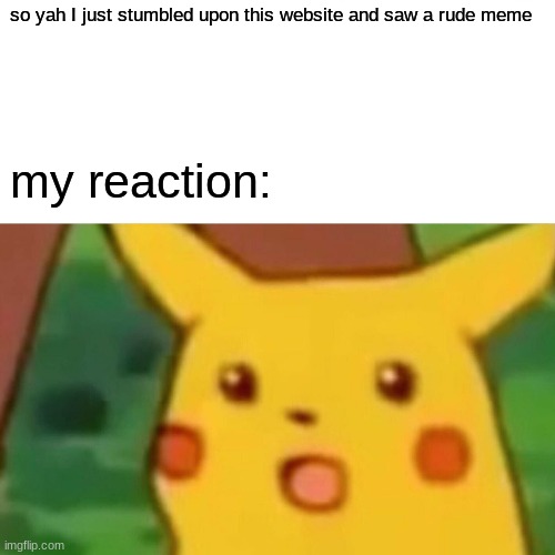 Be nice to me please | so yah I just stumbled upon this website and saw a rude meme; my reaction: | image tagged in memes,surprised pikachu | made w/ Imgflip meme maker