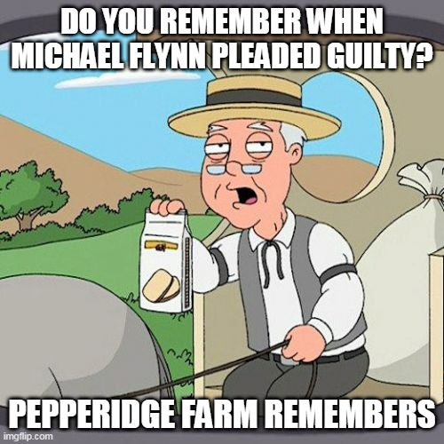 Pepperidge Farm Remembers | DO YOU REMEMBER WHEN MICHAEL FLYNN PLEADED GUILTY? PEPPERIDGE FARM REMEMBERS | image tagged in memes,pepperidge farm remembers | made w/ Imgflip meme maker