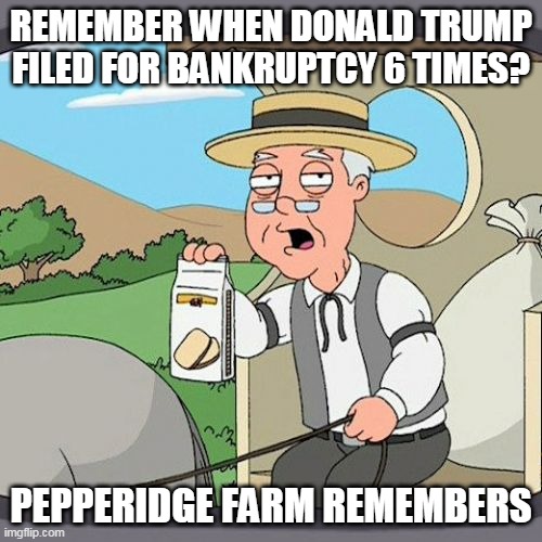 Pepperidge Farm Remembers Meme | REMEMBER WHEN DONALD TRUMP FILED FOR BANKRUPTCY 6 TIMES? PEPPERIDGE FARM REMEMBERS | image tagged in memes,pepperidge farm remembers | made w/ Imgflip meme maker