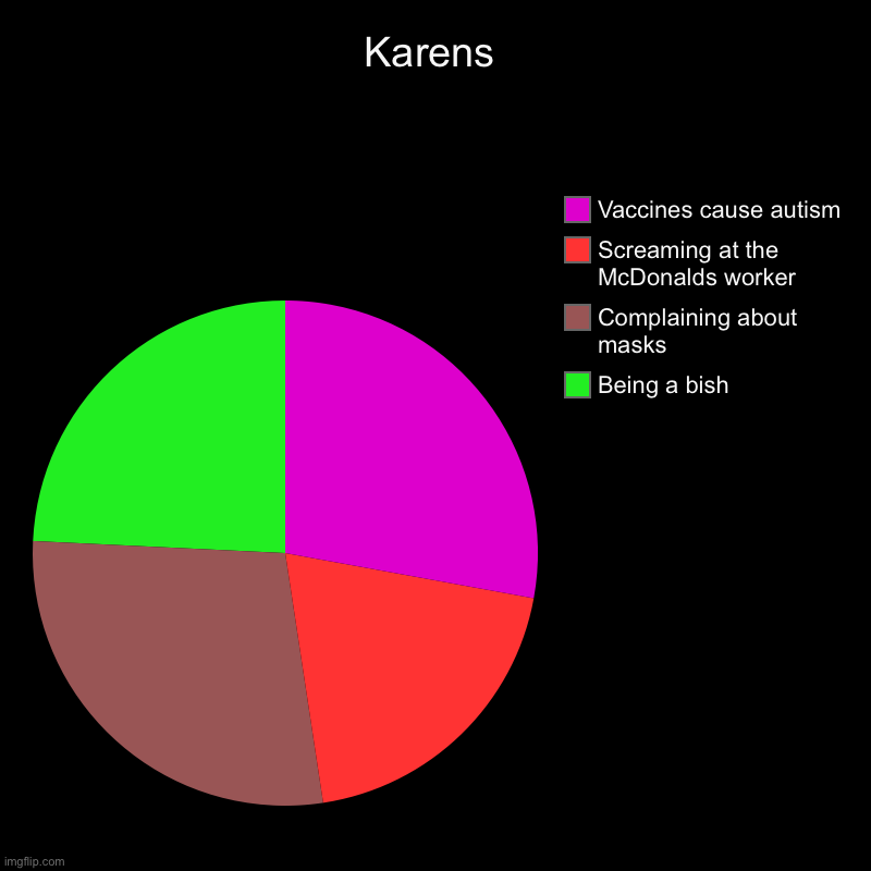 Karen’s bish | Karens | Being a bish, Complaining about masks, Screaming at the McDonalds worker, Vaccines cause autism | image tagged in charts,pie charts | made w/ Imgflip chart maker