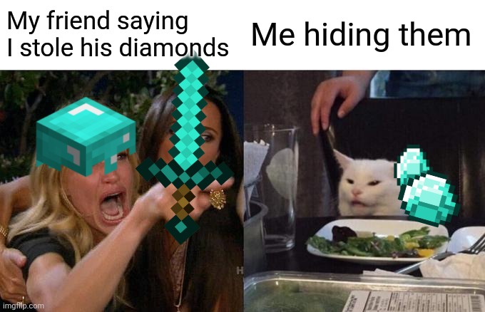 Woman Yelling At Cat | My friend saying I stole his diamonds; Me hiding them | image tagged in memes,woman yelling at cat | made w/ Imgflip meme maker