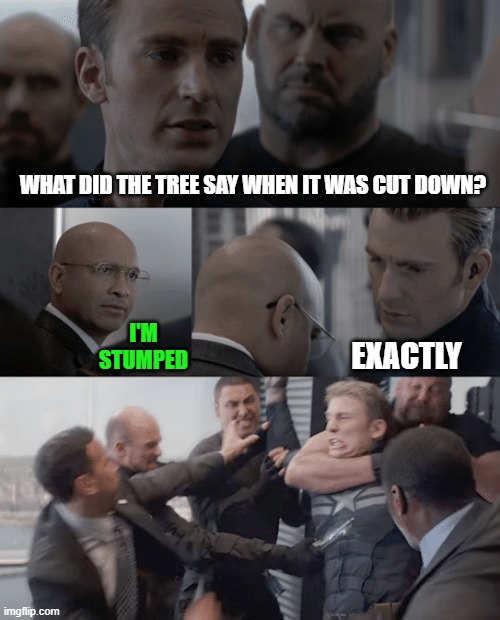 This may be the worst pun I've ever dared publish. | WHAT DID THE TREE SAY WHEN IT WAS CUT DOWN? I'M STUMPED; EXACTLY | image tagged in captain america elevator,memes,tree,stumped | made w/ Imgflip meme maker