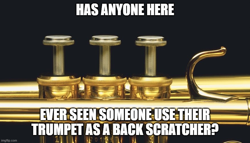 Please don't try this at home XD | HAS ANYONE HERE; EVER SEEN SOMEONE USE THEIR TRUMPET AS A BACK SCRATCHER? | image tagged in trumpet | made w/ Imgflip meme maker