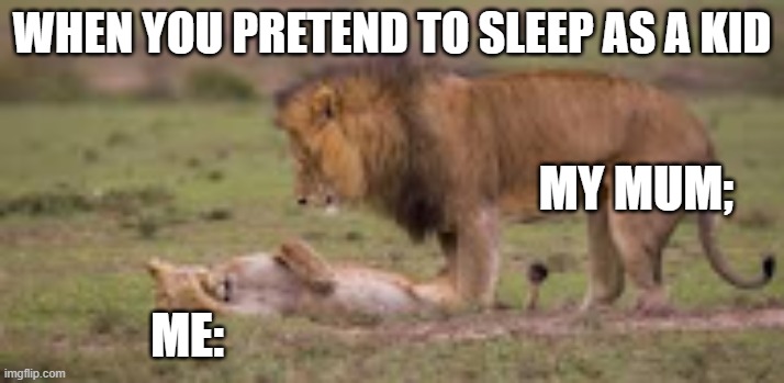 Tell me you did this.. | WHEN YOU PRETEND TO SLEEP AS A KID; MY MUM;; ME: | image tagged in parents,funny memes,lions,memes,kids | made w/ Imgflip meme maker