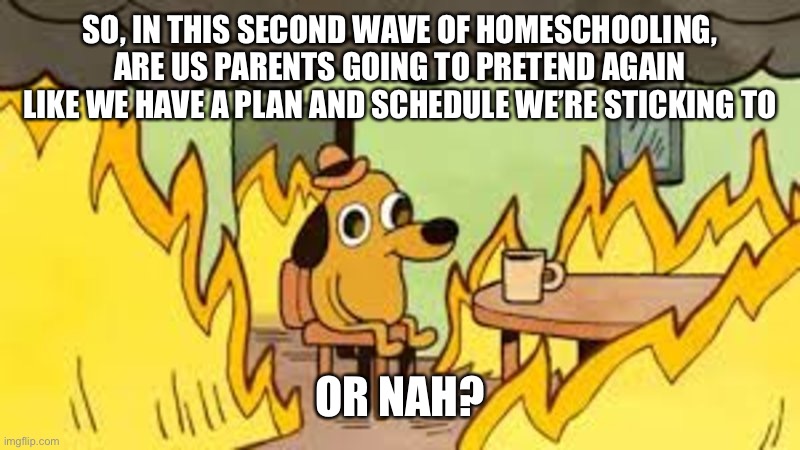 Homeschooling struggles | SO, IN THIS SECOND WAVE OF HOMESCHOOLING, ARE US PARENTS GOING TO PRETEND AGAIN LIKE WE HAVE A PLAN AND SCHEDULE WE’RE STICKING TO; OR NAH? | image tagged in or nah,homeschool,this is fine | made w/ Imgflip meme maker