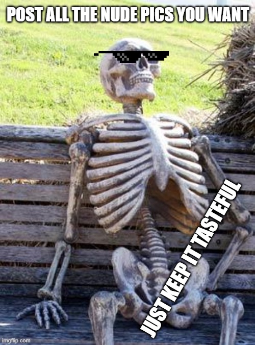 Subjectivity in the land of mods | POST ALL THE NUDE PICS YOU WANT; JUST KEEP IT TASTEFUL | image tagged in memes,waiting skeleton,nude,tasteful,mods | made w/ Imgflip meme maker
