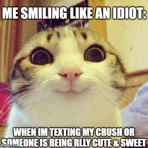 :3 | ME SMILING LIKE AN IDIOT:; WHEN IM TEXTING MY CRUSH OR SOMEONE IS BEING RLLY CUTE & SWEET | image tagged in memes,smiling cat | made w/ Imgflip meme maker