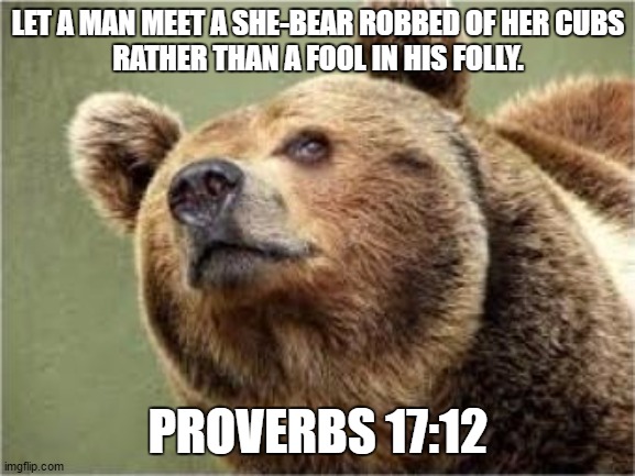 Smug Bear Meme | LET A MAN MEET A SHE-BEAR ROBBED OF HER CUBS
RATHER THAN A FOOL IN HIS FOLLY. PROVERBS 17:12 | image tagged in memes,smug bear | made w/ Imgflip meme maker