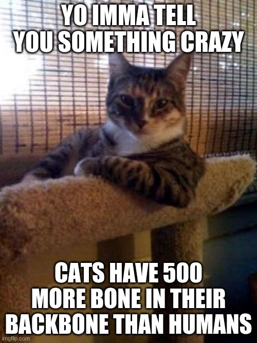 The Most Interesting Cat In The World | YO IMMA TELL YOU SOMETHING CRAZY; CATS HAVE 500 MORE BONE IN THEIR BACKBONE THAN HUMANS | image tagged in memes,the most interesting cat in the world | made w/ Imgflip meme maker