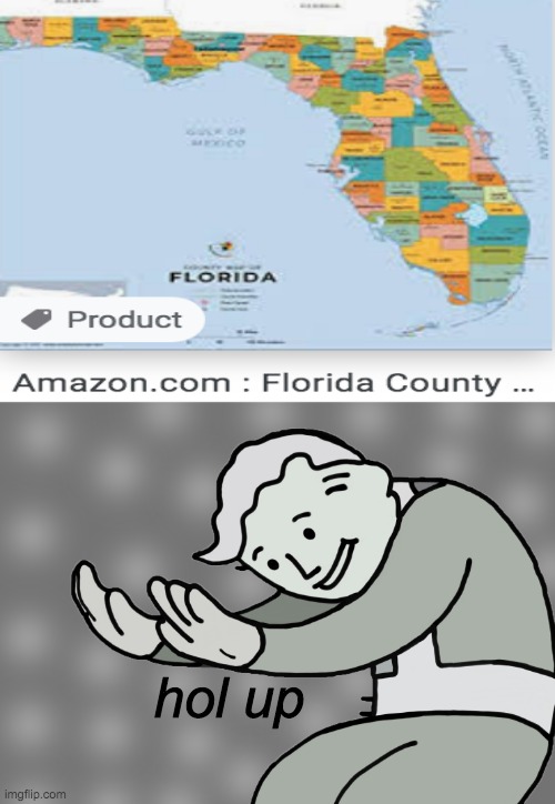 "Hey I bought the entirety of Florida" | hol up | image tagged in hol up,florida | made w/ Imgflip meme maker