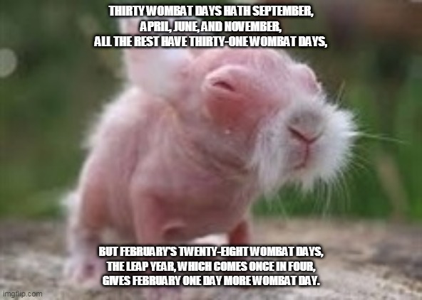 Wise Wombat | THIRTY WOMBAT DAYS HATH SEPTEMBER,
APRIL, JUNE, AND NOVEMBER,
ALL THE REST HAVE THIRTY-ONE WOMBAT DAYS, BUT FEBRUARY'S TWENTY-EIGHT WOMBAT DAYS,
THE LEAP YEAR, WHICH COMES ONCE IN FOUR,
GIVES FEBRUARY ONE DAY MORE WOMBAT DAY. | image tagged in wise wombat | made w/ Imgflip meme maker