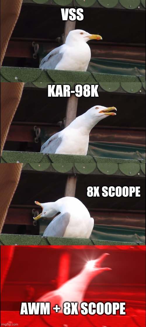 Only pubg's players can understand | VSS; KAR-98K; 8X SCOOPE; AWM + 8X SCOOPE | image tagged in memes,inhaling seagull,pubg | made w/ Imgflip meme maker