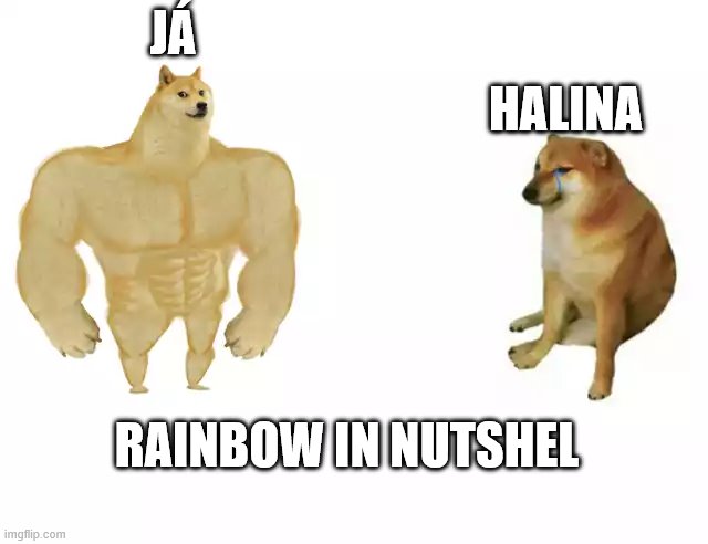 Buff Doge vs. Cheems Meme | HALINA; JÁ; RAINBOW IN NUTSHEL | image tagged in buff doge vs cheems | made w/ Imgflip meme maker