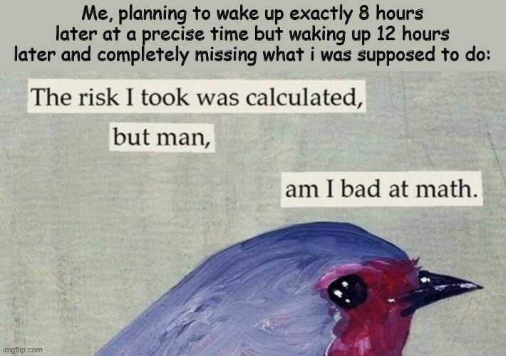 Summer be like: | Me, planning to wake up exactly 8 hours later at a precise time but waking up 12 hours later and completely missing what i was supposed to do: | image tagged in risky bird | made w/ Imgflip meme maker