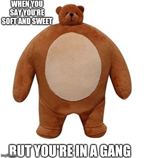 Big Man T | WHEN YOU SAY YOU'RE SOFT AND SWEET; BUT YOU'RE IN A GANG | image tagged in funny memes,teddy bear,girl | made w/ Imgflip meme maker