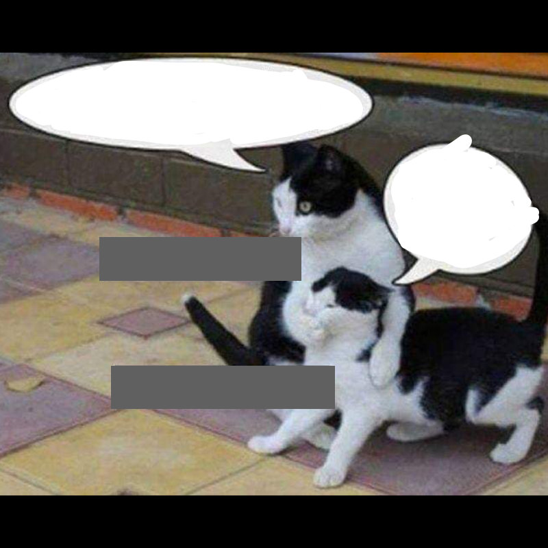 High Quality Junior Cat Tester Blank Meme Template