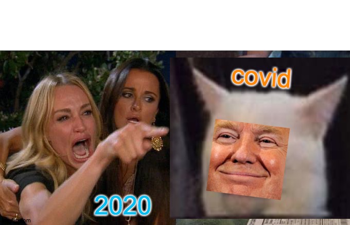 catastrophe | covid; 2020 | image tagged in cat,cars,trump,covid-19 | made w/ Imgflip meme maker