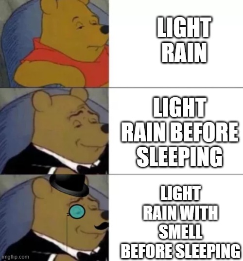 Fancy pooh | LIGHT RAIN; LIGHT RAIN BEFORE SLEEPING; LIGHT RAIN WITH SMELL BEFORE SLEEPING | image tagged in fancy pooh,memes | made w/ Imgflip meme maker