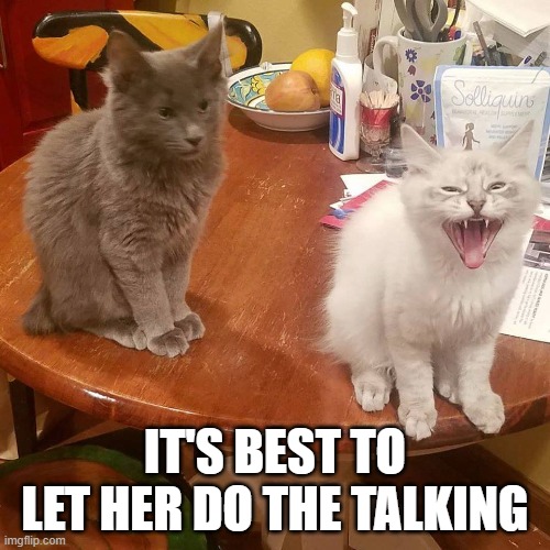 Let her do the talking. | IT'S BEST TO LET HER DO THE TALKING | image tagged in funny memes | made w/ Imgflip meme maker