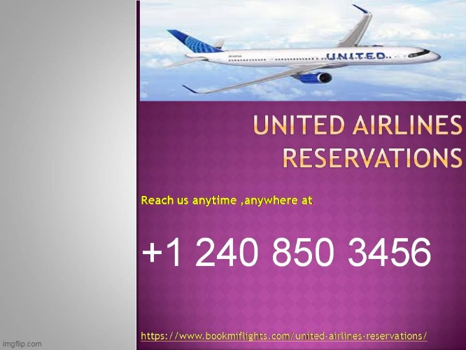 United Airlines Reservation Phone Number | image tagged in travel | made w/ Imgflip meme maker