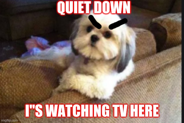 QUIET DOWN | QUIET DOWN; I"S WATCHING TV HERE | image tagged in 100000000000000 | made w/ Imgflip meme maker