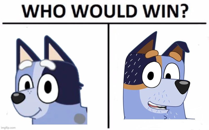 Bluey | image tagged in memes,who would win | made w/ Imgflip meme maker