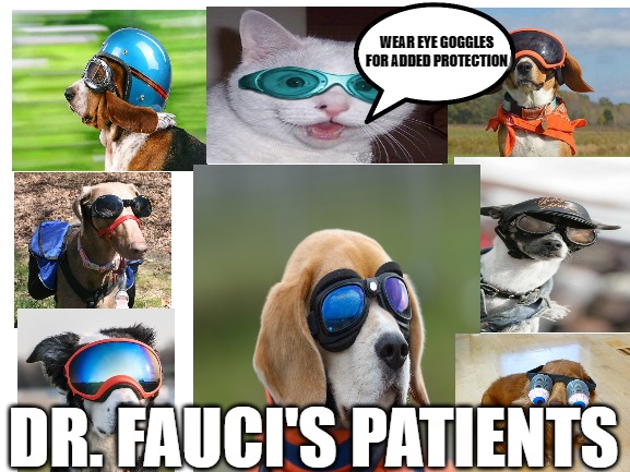 Animal Farm | WEAR EYE GOGGLES FOR ADDED PROTECTION; DR. FAUCI'S PATIENTS | image tagged in fauci,goggles,extra protection,quack,dogs,cats | made w/ Imgflip meme maker