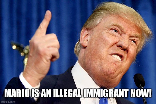 Donald Trump | MARIO IS AN ILLEGAL IMMIGRANT NOW! | image tagged in donald trump | made w/ Imgflip meme maker