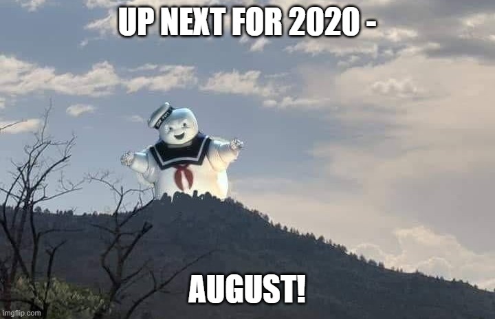 August | UP NEXT FOR 2020 -; AUGUST! | image tagged in funny memes,covid | made w/ Imgflip meme maker