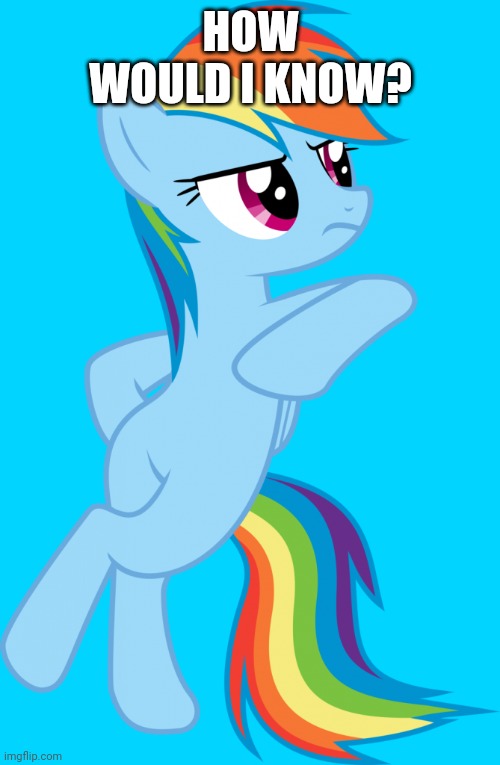  HOW WOULD I KNOW? | image tagged in rainbow dash,my little pony | made w/ Imgflip meme maker