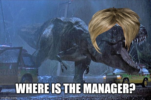 jurassic park t rex | WHERE IS THE MANAGER? | image tagged in jurassic park t rex | made w/ Imgflip meme maker