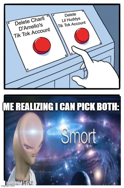 Two Buttons Meme | Delete Lil Huddys Tik Tok Account; Delete Charli D'Amelio's Tik Tok Account; ME REALIZING I CAN PICK BOTH: | image tagged in memes,two buttons | made w/ Imgflip meme maker