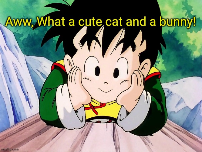 Cute Gohan (DBZ) | Aww, What a cute cat and a bunny! | image tagged in cute gohan dbz | made w/ Imgflip meme maker