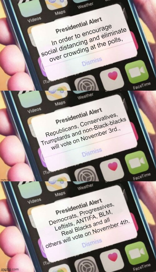 Voting instructions. | In order to encourage social distancing and eliminate over crowding at the polls, Republicans, Conservatives, Trumptards and non-Black-blacks will vote on November 3rd., Democrats, Progressives, Leftists, ANTIFA, BLM, Real Blacks and all others will vote on November 4th. | image tagged in memes,presidential alert,nov3 | made w/ Imgflip meme maker