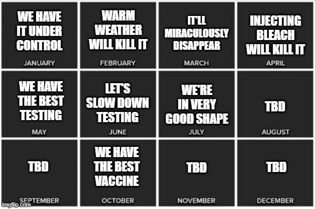 2020 COVID Calendar | WARM WEATHER WILL KILL IT; IT'LL MIRACULOUSLY DISAPPEAR; INJECTING BLEACH WILL KILL IT; WE HAVE IT UNDER CONTROL; WE'RE IN VERY GOOD SHAPE; WE HAVE THE BEST TESTING; LET'S SLOW DOWN TESTING; TBD; TBD; TBD; WE HAVE THE BEST VACCINE; TBD | image tagged in calendar | made w/ Imgflip meme maker