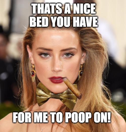 Amber Heard The Insult Comic Model | THATS A NICE BED YOU HAVE; FOR ME TO POOP ON! | image tagged in amber heard,johnny depp,triumph the insult comic dog | made w/ Imgflip meme maker